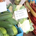 Frisches Gemüse mit Gurken, Blumenkohl und Rhabarber auf einem Verkaufsstand mit Preisschildern.
