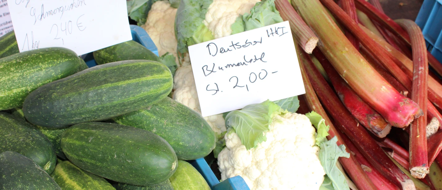 Frisches Gemüse mit Gurken, Blumenkohl und Rhabarber auf einem Verkaufsstand mit Preisschildern.