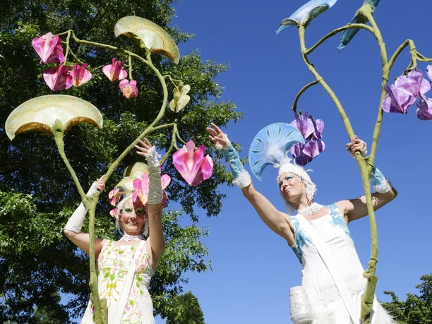 Blumiger Walking-Act