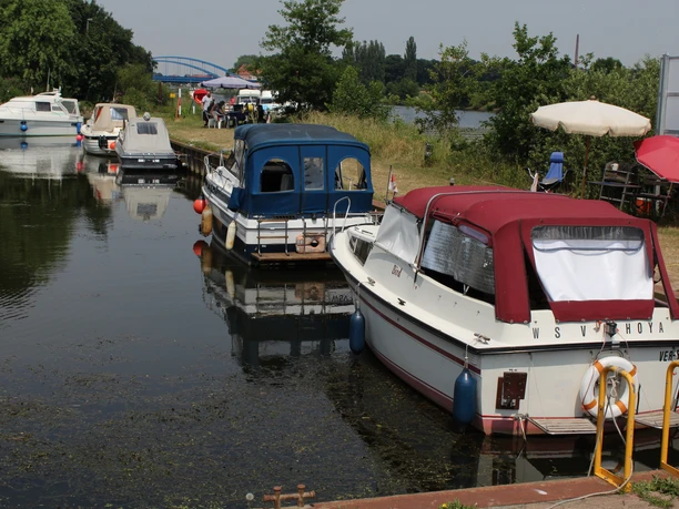 Ein ruhiger Sportboothafen mit mehreren festgemachten Motorbooten an einem bewachsenen Flussufer.