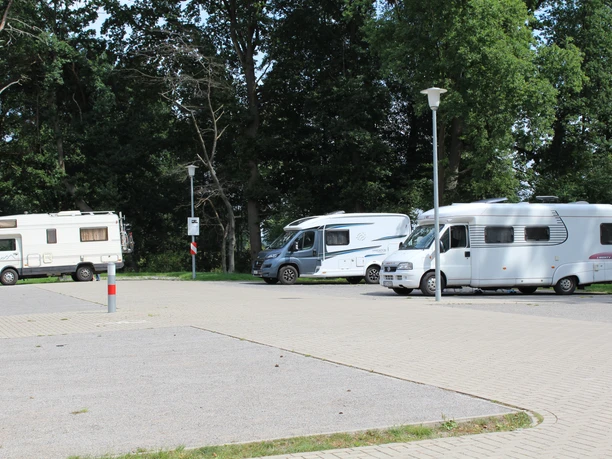 Three RVs are parked in a paved lot surrounded by tall trees in daylight.