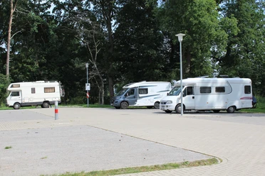 Wohnmobilstellplatz Steimbke Drei Wohnmobile parken auf einem gepflasterten Platz umgeben von hohen Bäumen bei Tageslicht.