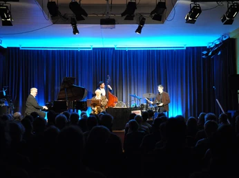 Kultur im Esel Quarteto Mulenga kultur-im-esel-quarteto-mulenga