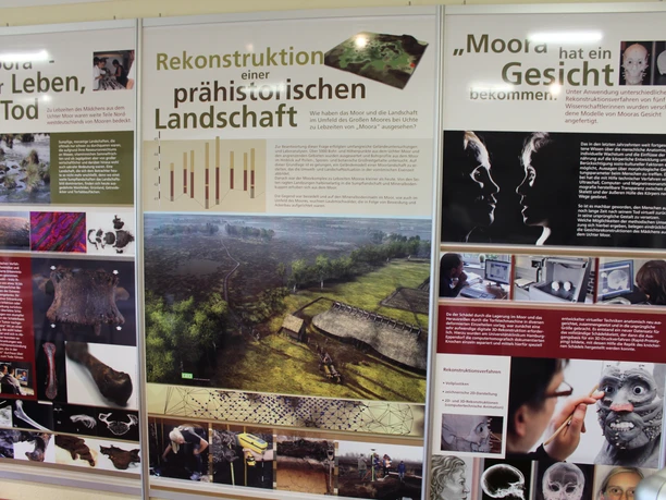Information panels about the prehistoric moorland and its archaeological reconstruction.