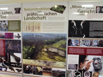 Tor zum Moor Essern Informationstafeln zur prähistorischen Moorlandschaft und deren archäologischen Rekonstruktion.