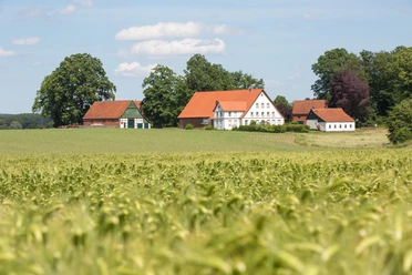Wandern in Wellingholzhausen