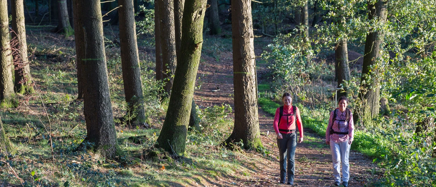 Wandern im Wald_ Fotos Klaus Herzmann.JPG Wandern im Wald_ Fotos Klaus Herzmann.JPG