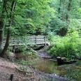 Eine hölzerne Fußgängerbrücke überspannt einen kleinen Bach in einem üppig bewaldeten Gebiet.