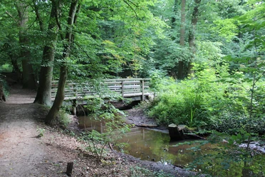 Märchenwald Pfarrbusch Eine hölzerne Fußgängerbrücke überspannt einen kleinen Bach in einem üppig bewaldeten Gebiet.