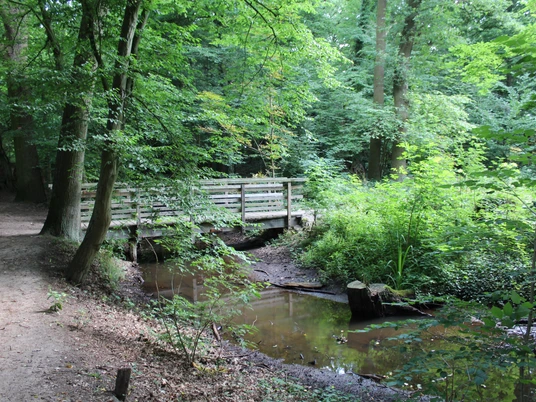 Märchenwald Pfarrbusch Eine hölzerne Fußgängerbrücke überspannt einen kleinen Bach in einem üppig bewaldeten Gebiet.A wooden footbridge spans a small stream in a lush wooded area.En træbro spænder over et lille vandløb i et frodigt skovområde.Een houten loopbrug overspant een beekje in een weelderig bebost gebied.