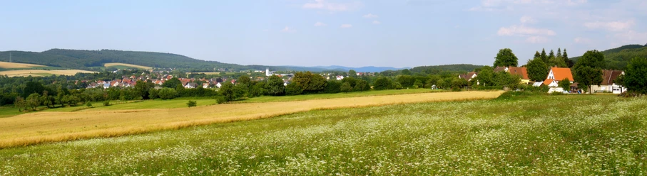 Panoramablick Grüne Wiesen und Felder erstrecken sich vor einer ruhigen Dorfkulisse mit roten Hausdächern.