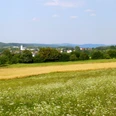 Panoramablick Grüne Wiesen und Felder erstrecken sich vor einer ruhigen Dorfkulisse mit roten Hausdächern.