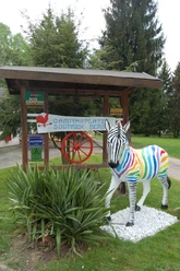 Campingplatz Northeim Nord_Zebra campingplatz-northeim-nord-zebra