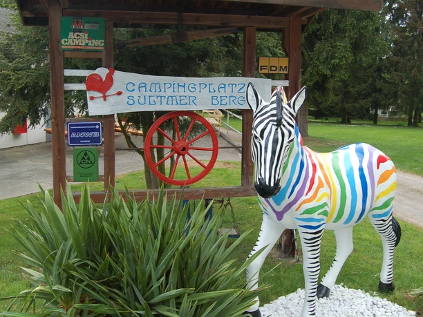 Campingplatz Northeim Nord_Zebra campingplatz-northeim-nord-zebra