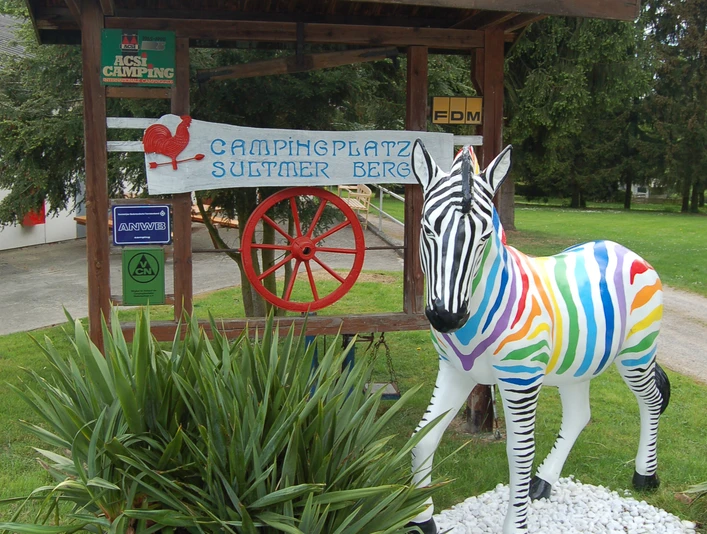 Campingplatz Northeim Nord_Zebra campingplatz-northeim-nord-zebra