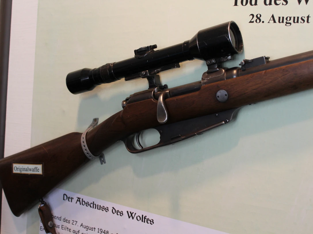 Ein historisches Gewehr mit montiertem Zielfernrohr, ausgestellt vor einer erklärenden Tafel.