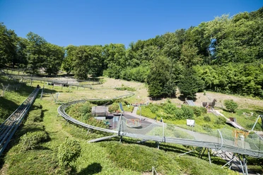sommer-rodelbahn-bodenwerder-rodelbahn