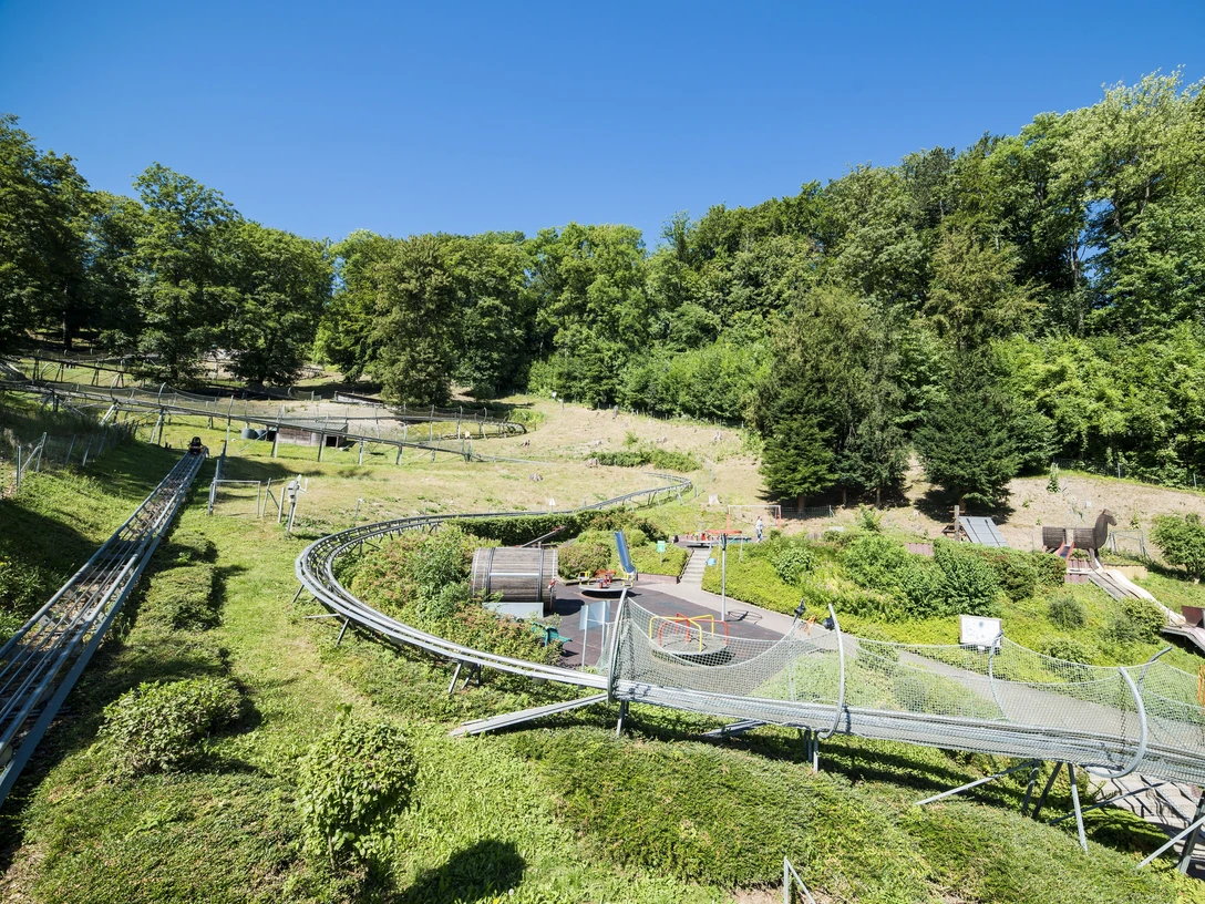sommer-rodelbahn-bodenwerder-rodelbahn
