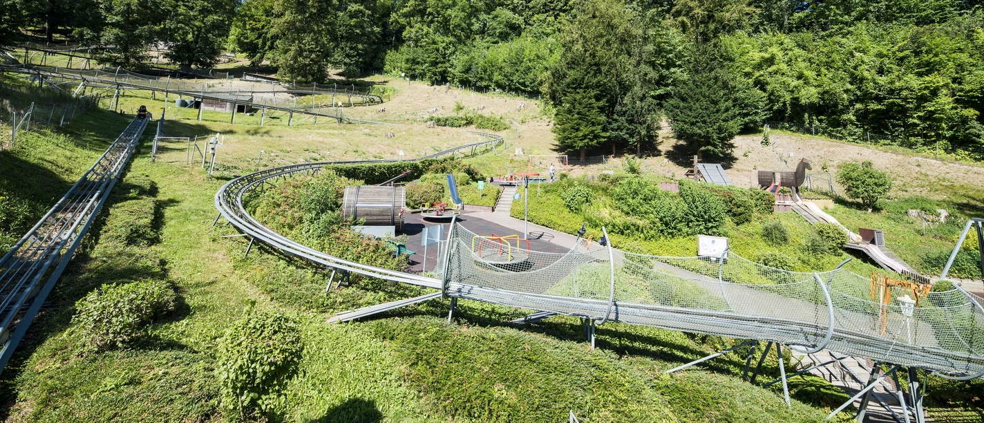 sommer-rodelbahn-bodenwerder-rodelbahn
