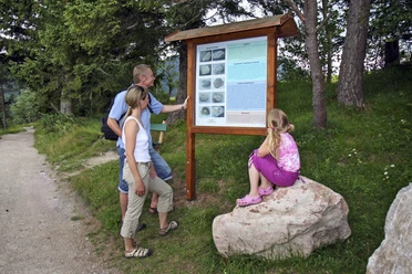 Geologielehrpfad in Mittenwald am Kranzberg
