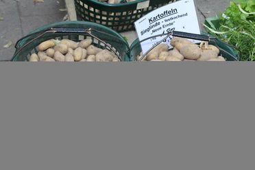 Kartoffeln Frisch geerntete, festkochende Sieglinde-Kartoffeln liegen in grünen Körben auf einem Marktstand.