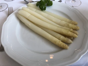Fünf weiße Spargelstangen auf einem weißen Teller, dekoriert mit einem Zweig frischer Petersilie.