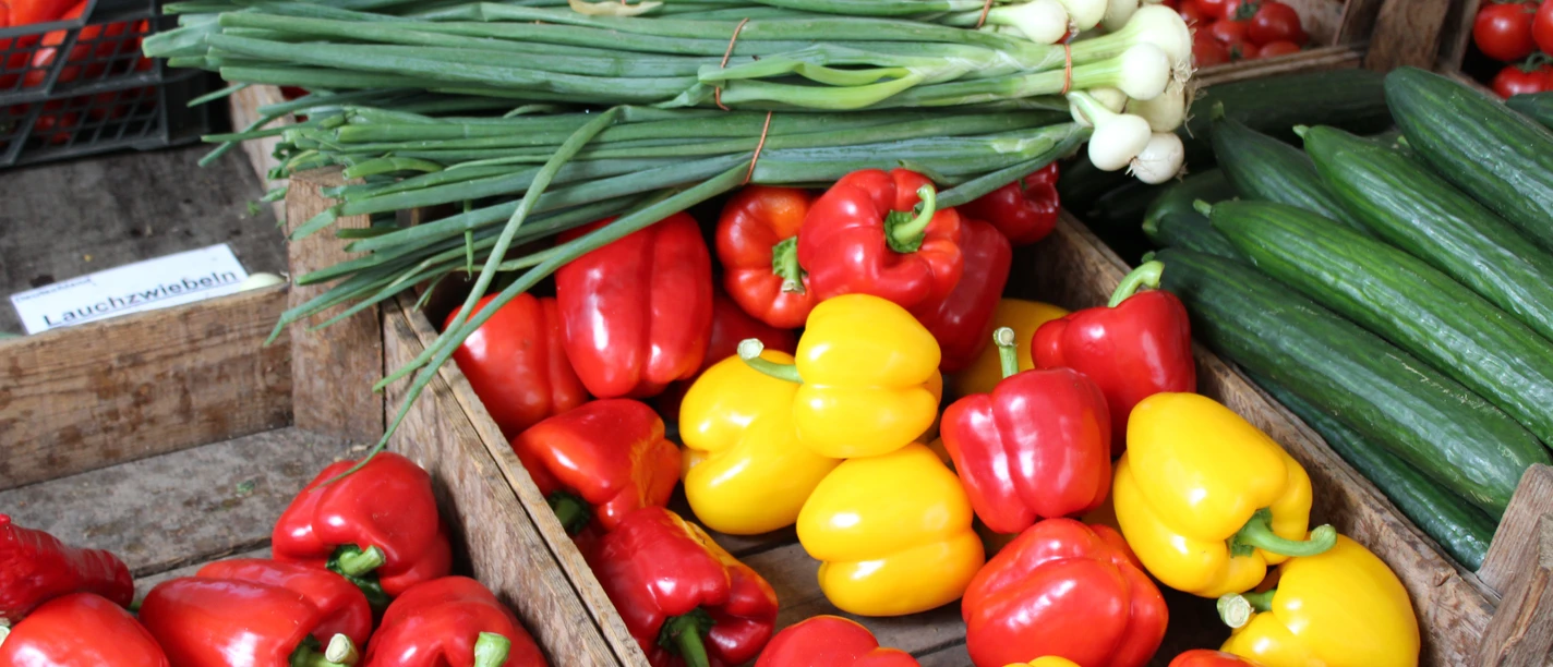 Gemüse Bunte Paprika, Gurken und Lauchzwiebeln liegen in rustikalen Holzkisten auf einem Marktstand.