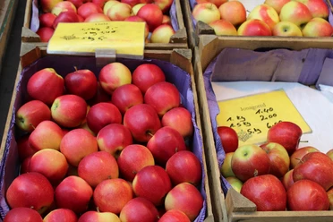 Reife, rote und gelbe Äpfel in Holzkisten auf einem Marktstand mit Preisetiketten darauf.