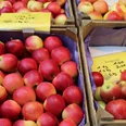 Reife, rote und gelbe Äpfel in Holzkisten auf einem Marktstand mit Preisetiketten darauf.