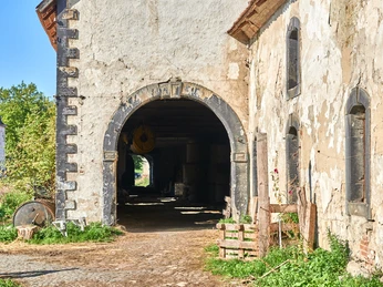 Der Demeter-Bauernhof im Klostergut Heiningen mit seinen Tieren #nHavo
