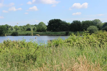 Westerhammrich Das Bild zeigt den See im Westerhammrich