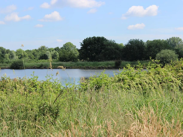 Westerhammrich Das Bild zeigt den See im Westerhammrich