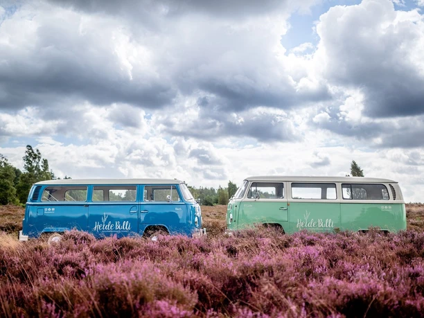 HeideBulli in der Heide