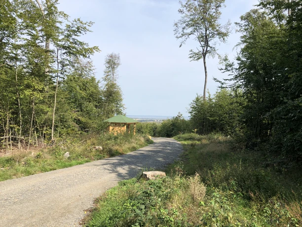 Rehburger Berge Ein geschwungener Waldweg führt zu einer grünen Hütte, umgeben von hohen Bäumen und Pflanzen.