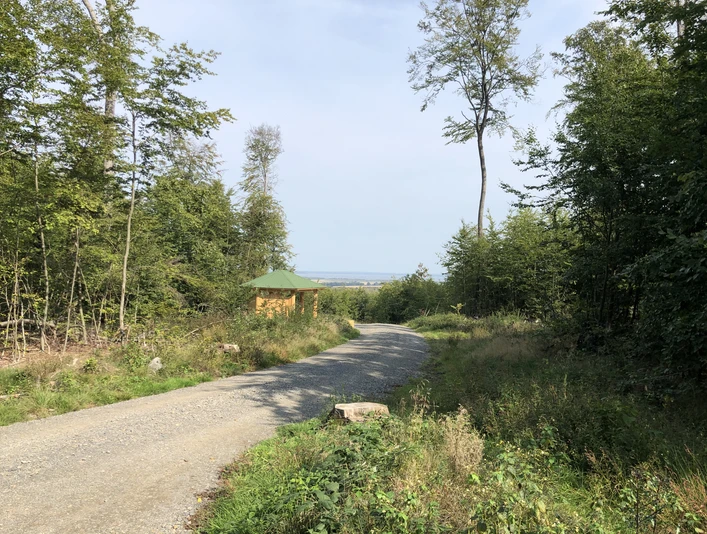 Rehburger Berge Ein geschwungener Waldweg führt zu einer grünen Hütte, umgeben von hohen Bäumen und Pflanzen.