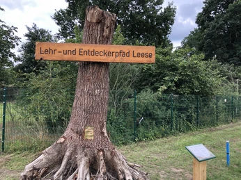 Ein Wegweiser aus Holz an einem Baumstumpf markiert den Eingang zum Lehr- und Entdeckerpfad Leese.