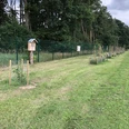 Ein Pfad entlang eines umzäunten Waldgebiets mit jungen Bäumen und einem Insektenhotel bei bewölktem Himmel.