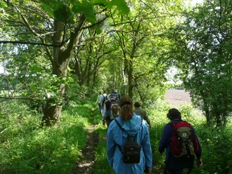 Mensen lopen over een smal pad door een groen, met licht overgoten bos.