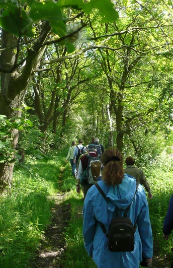 Wandertour Achim Auf einem schmalen Pfad wandern Menschen durch einen grünen, lichtdurchfluteten Wald.