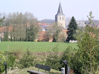 Wiese in Uelsen mit Kirchturm