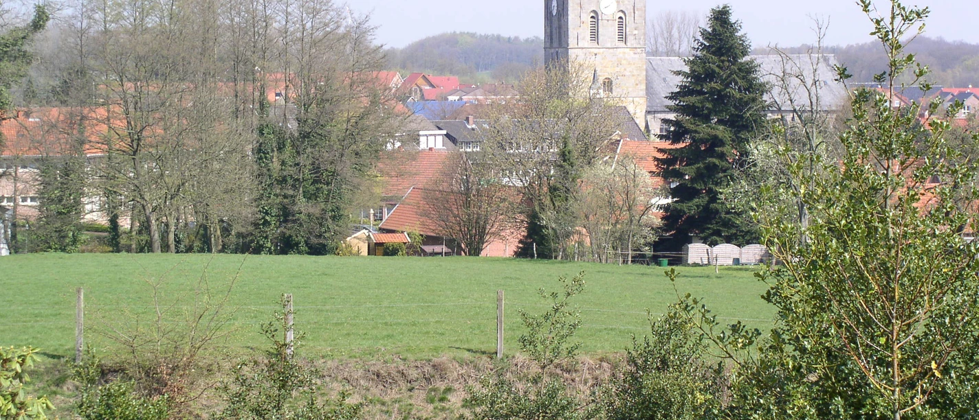 Wiese in Uelsen mit Kirchturm