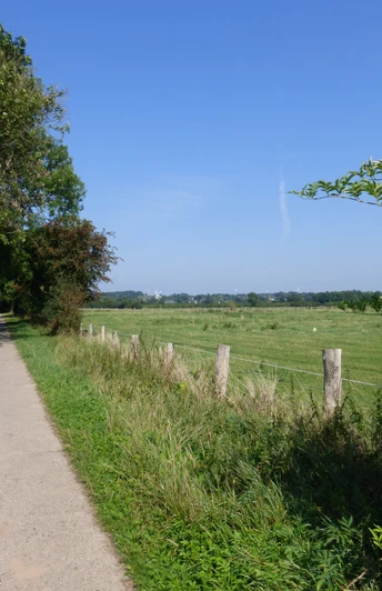Ein schmaler Weg führt durch grüne Felder unter blauem Himmel, gesäumt von Bäumen und Pflanzen.