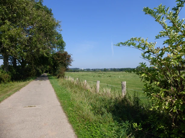 Een smal pad leidt door groene velden onder een blauwe hemel, omzoomd met bomen en planten.