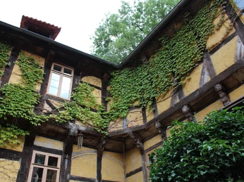 Fachwerkhausfassade mit grünem Efeu bewachsen, gelbe Wände und geöffnete Fenster im Innenhof.