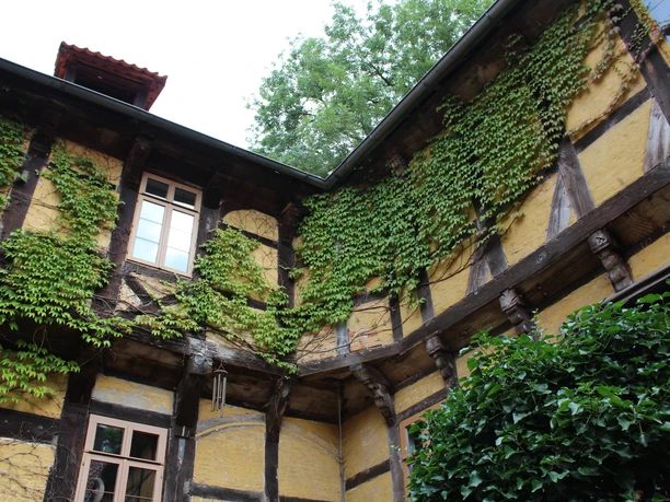 Fachwerkhausfassade mit grünem Efeu bewachsen, gelbe Wände und geöffnete Fenster im Innenhof.