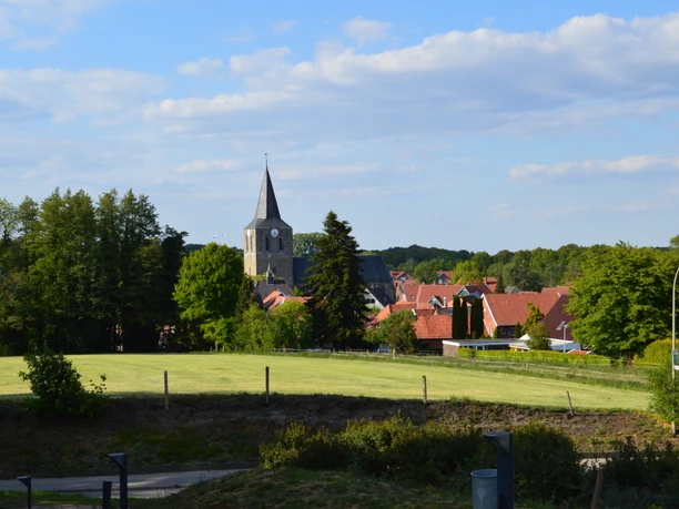 DSC_0246.JPG