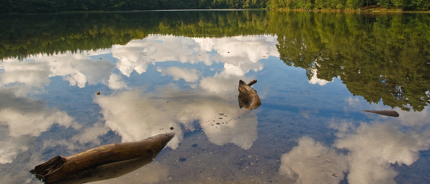 pinnsee-spiegelung pinnsee-spiegelung