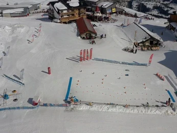 Schweizer-Ski-und-Snowboardschule-Fiesch