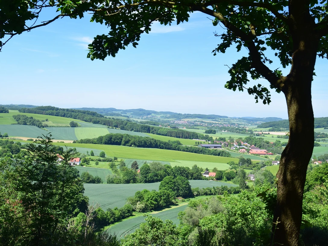 Blick durch Bäume auf eine weitläufige grüne Landschaft mit Feldern, Hügeln und kleinen Dörfern.