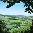 Blick durch Bäume auf eine weitläufige grüne Landschaft mit Feldern, Hügeln und kleinen Dörfern.